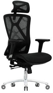 Компьютерное кресло Evolution EXO F1 Mesh черный
